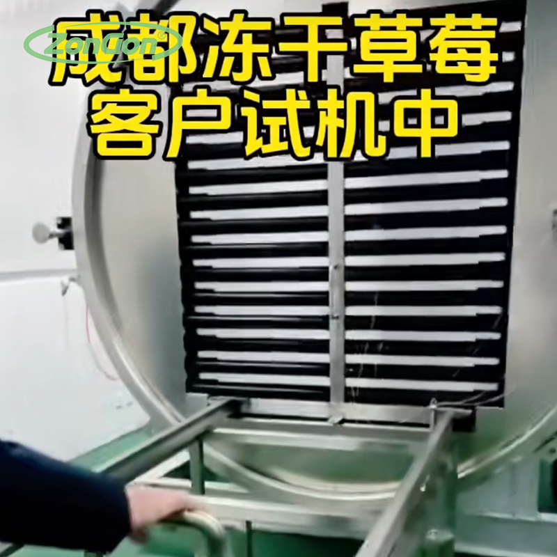 天津小站稻大米粥真空凍干機(jī) 即食速溶粥凍干設(shè)備 嬰幼兒輔食營(yíng)養(yǎng)餐